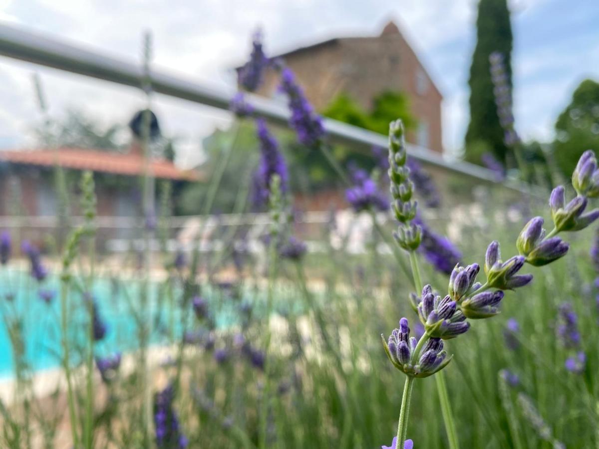 La Bacaia Villa Marciano della Chiana Exterior foto